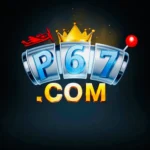 P67 Game Download